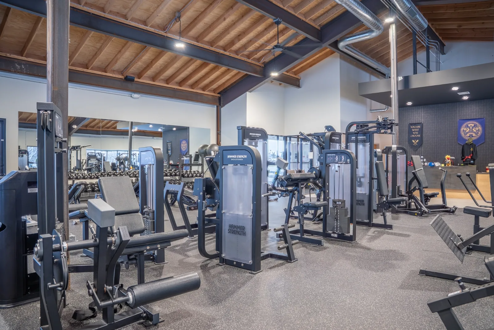 Adjustable benches and conditioning equipment at VirtueHall in front of a wall of windows looking out over the property